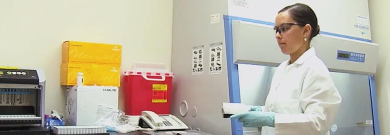 A researcher working in a lab