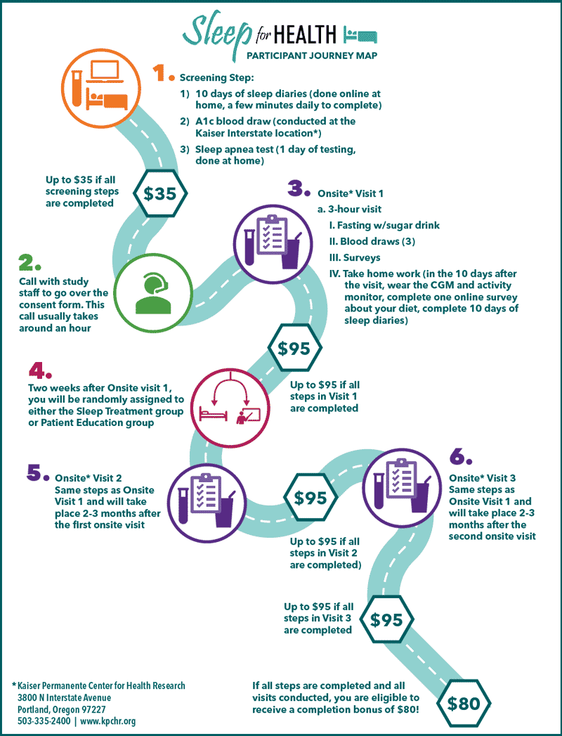 Illustration of the study participant's journey map